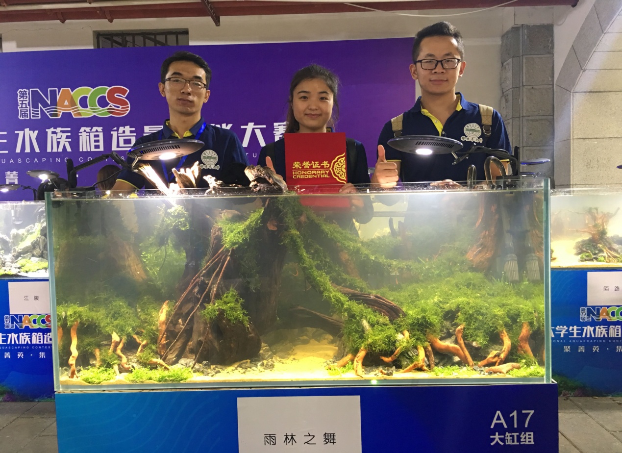 大型缸一等奖(雨林之舞,作者:马良、任永丽、郭聪明)
