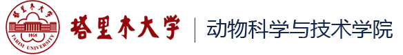 suncitygroup太阳新城